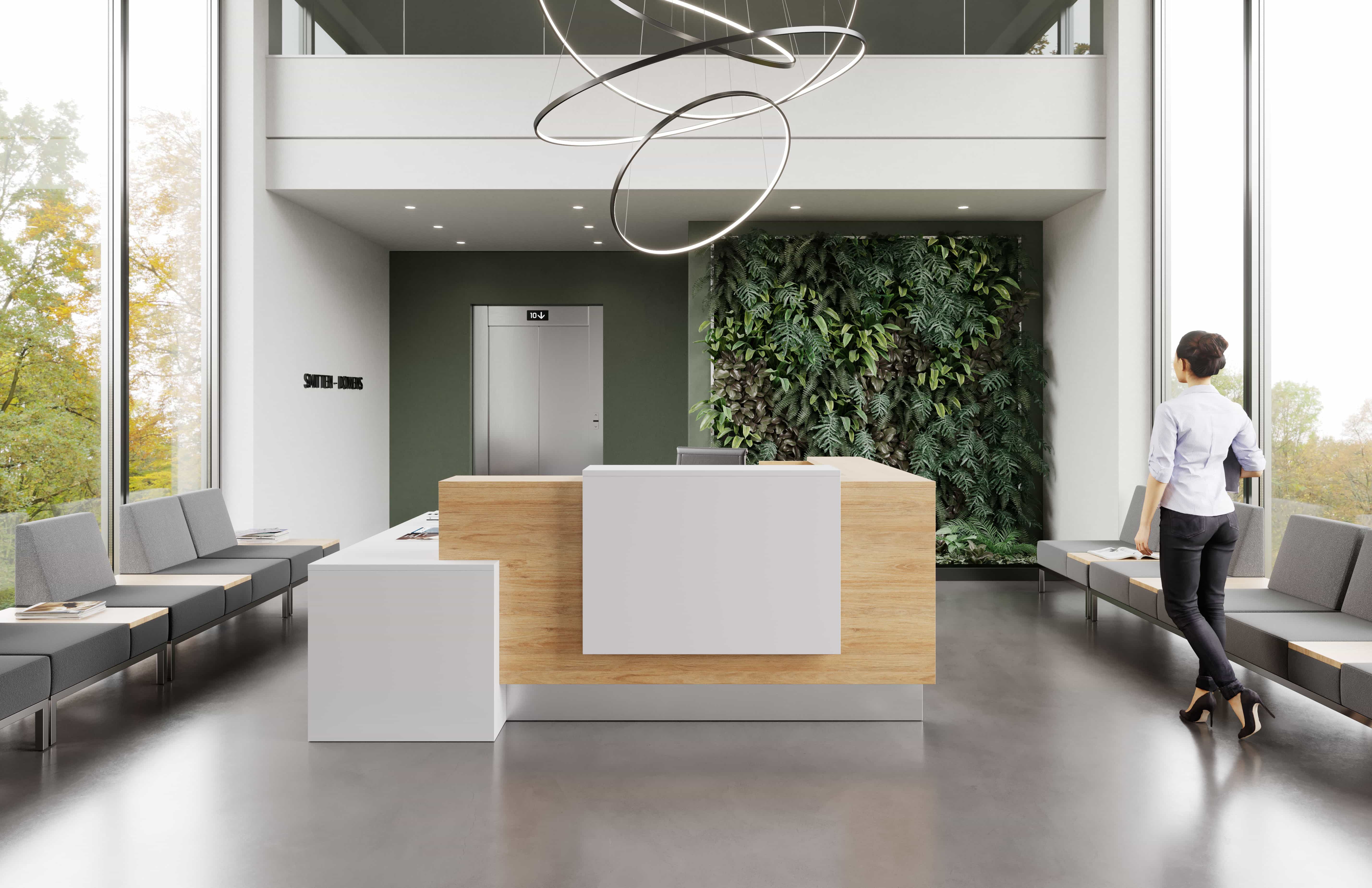 Reception Area Desk and Lounge
