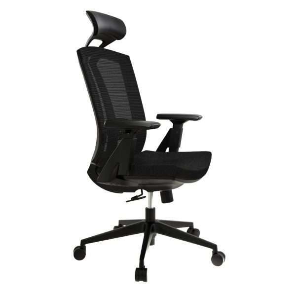 Mesh Office Chair